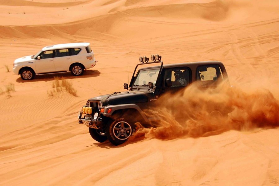 Why You Should Go on a Desert Safari for Your Trip to Dubai